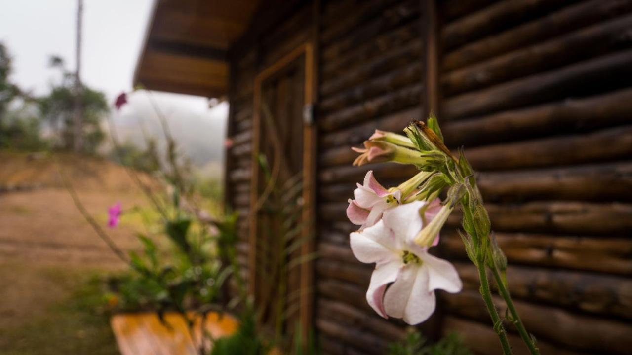 Вилла Finca Las Huellas: Cabana Acogedora En La Montana Estrella Экстерьер фото
